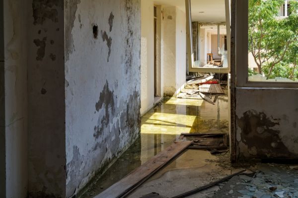 Cost of Water Removal Service in Tomball