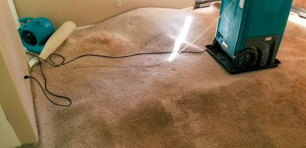 Cost of Carpet Water Extraction in Tomball